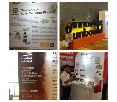 Innovest Unbound Festival